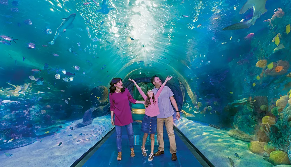 A family is joyfully exploring an underwater tunnel surrounded by colorful marine life in an aquarium