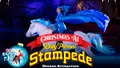 Dolly Parton's Stampede Branson Photo
