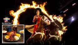 Popular Dinner Shows