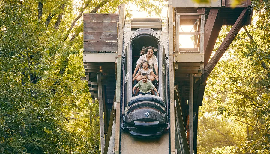A family of three is joyfully riding a log flume on a sunny day surrounded by lush greenery.