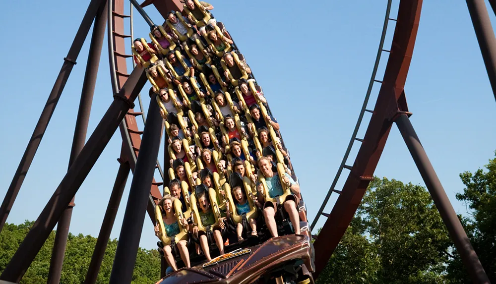 People are experiencing the thrill of riding a looping roller coaster
