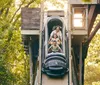 The image showcases a vibrant theme park scene with a roller coaster ride various attractions and a sign celebrating Americas 250th birthday featuring Thunderation - The Final Season