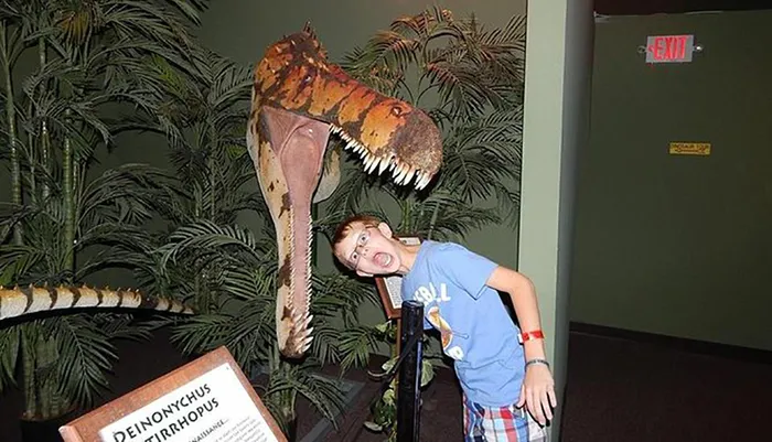 Dinosaur Museum Branson Photo