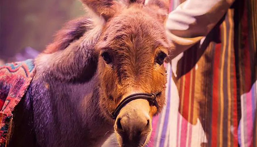 Miracle of Christmas at Sight & Sound Theatre