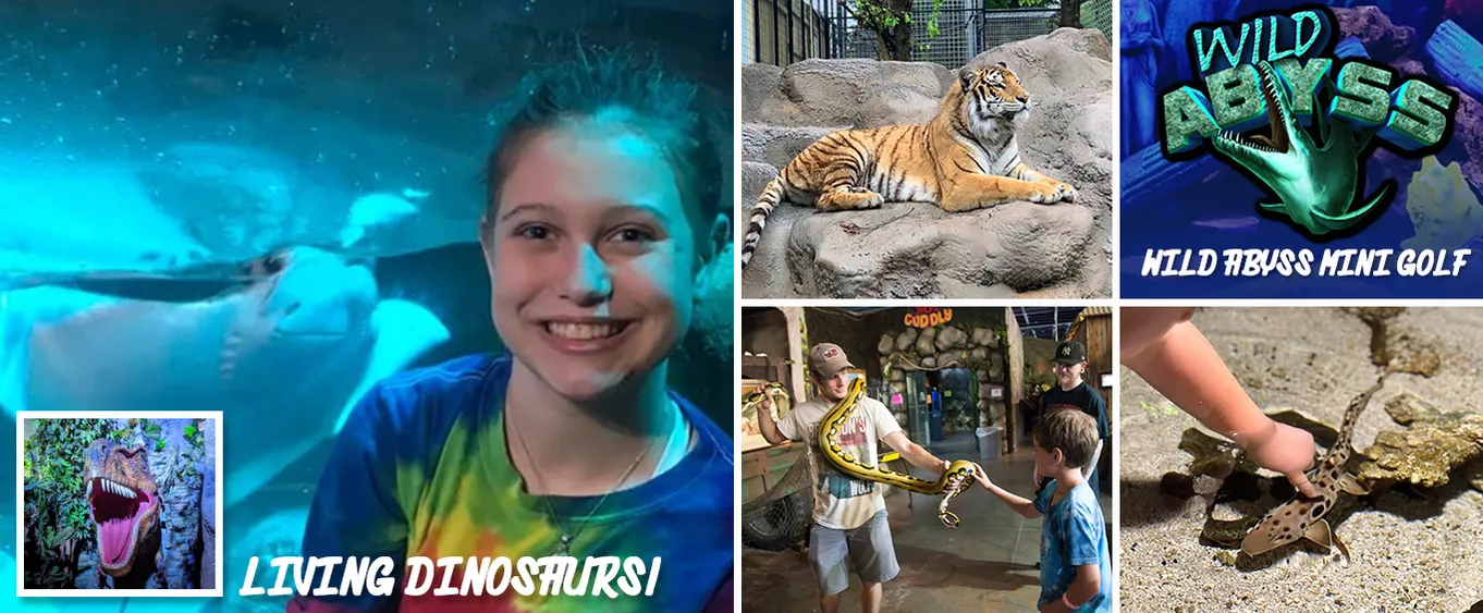 Wild World Branson Animal Adventure & Nine Hole Black Light Mini Golf Abyss Regular Plus Ticket