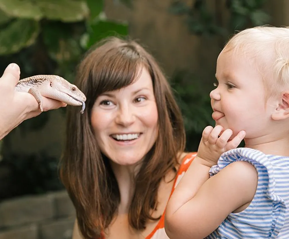 A woman smiles brightly while holding a child as someone introduces a small lizard to them