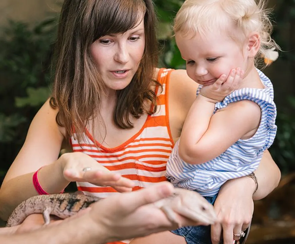A woman is showing a young child a reptile possibly a gecko or lizard which they are observing with interest