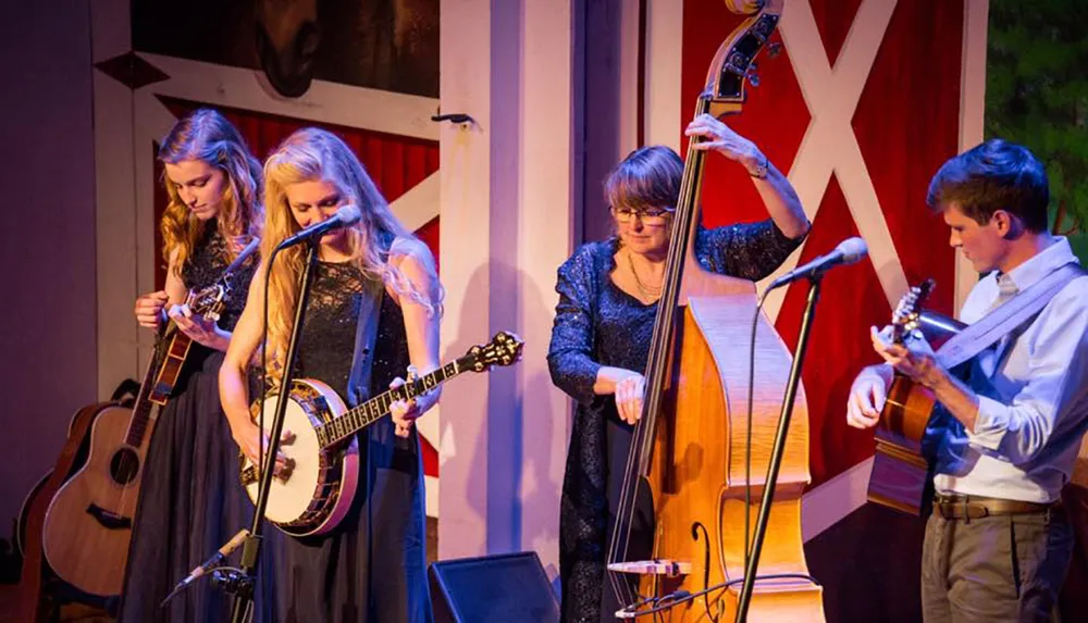 The Petersen Family Bluegrass Band