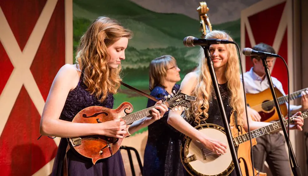 The Petersen Family Bluegrass Band