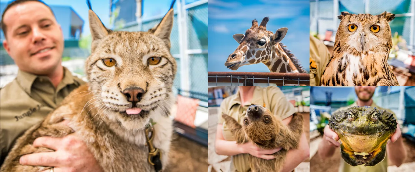 Branson's Promised Land Zoo