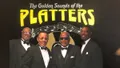 Platters & Golden Sounds of the 50s Tribute Photo