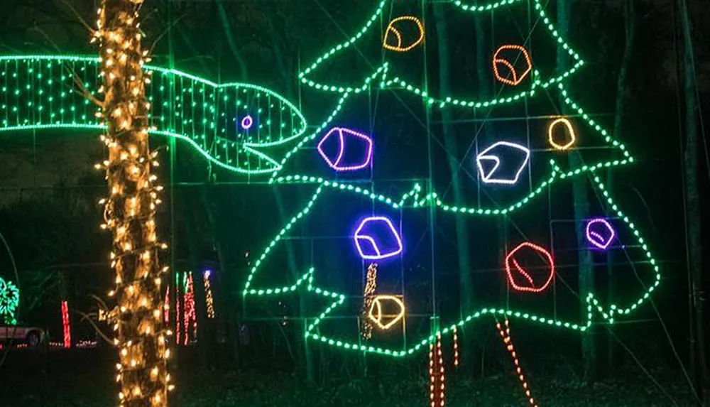 Christmas Lights Display