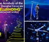 The image showcases acrobats from the New Shanghai Circus performing with quotes praising their act as spellbinding and unlike anything youve seen before