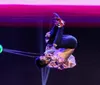 This image features promotional visuals for the New Shanghai Circus showcasing acrobats performing with text highlights including Spellbinding and Unlike anything youve seen before