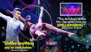 The image features performers from the New Shanghai Circus, with one balancing a crystal ball and another in an aerial hoop pose, accompanied by quotes praising the show as 
