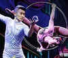 This image features promotional visuals for the New Shanghai Circus showcasing acrobats performing with text highlights including Spellbinding and Unlike anything youve seen before