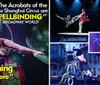 The image features performers from the New Shanghai Circus with one balancing a crystal ball and another in an aerial hoop pose accompanied by quotes praising the show as spellbinding and unlike anything youve seen before