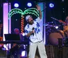 A person in a colorful parrot costume with a pirate hat dances on a stage next to a man singing into a microphone with other performers in tropical attire and illuminated palm trees in the background