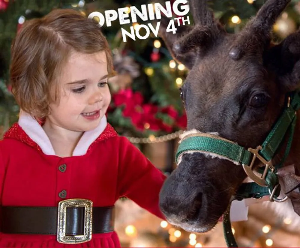A young child in a festive dress is smiling at a reindeer against a backdrop of Christmas decorations with text indicating an event opening on November 4th