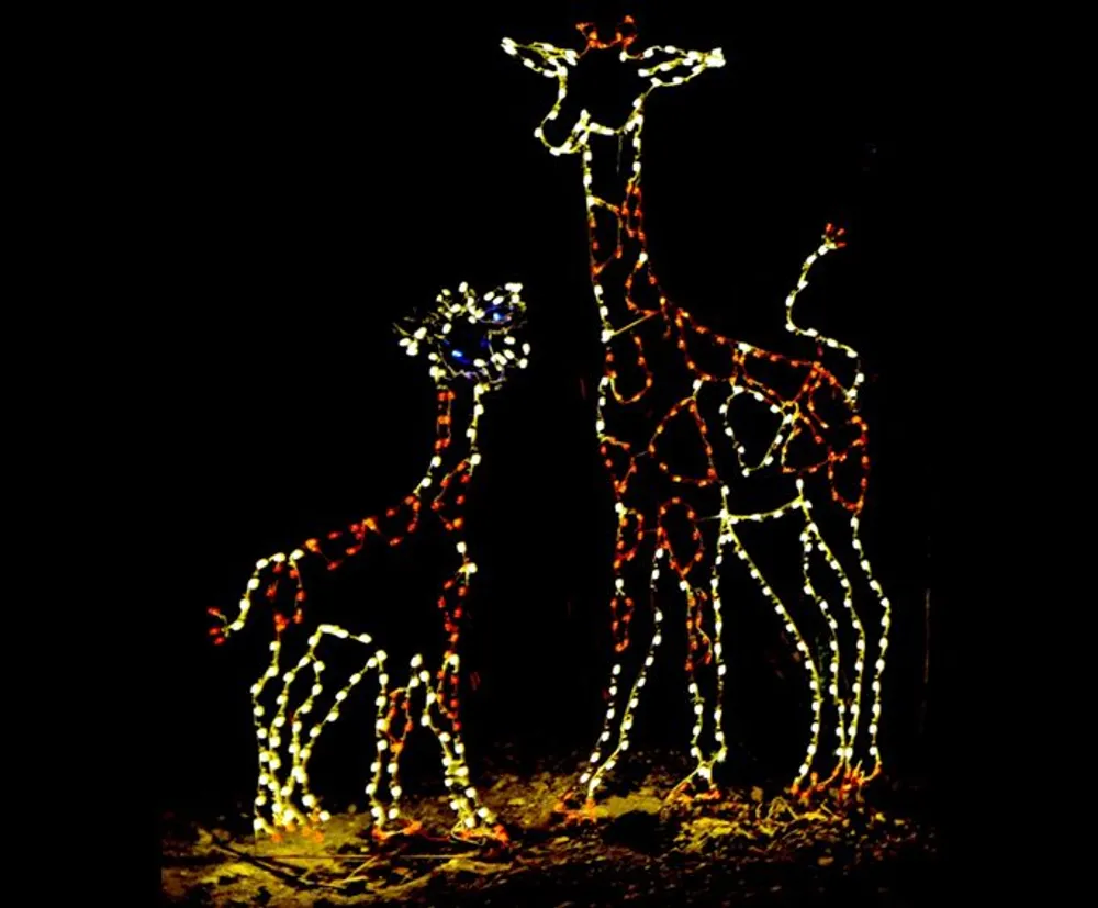This image depicts a trio of giraffe figures adorned with twinkling lights against a dark background creating a striking night-time display