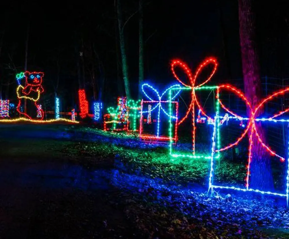 The image shows a nighttime holiday lights display featuring colorful illuminated outlines of a teddy bear and presents among the trees