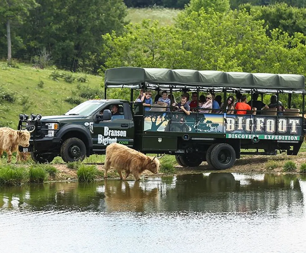 A truck pulling a trailer with the words Bigfoot Discovery Expedition transports a group of people on a tour while two Scottish Highland cattle walk by water in the foreground