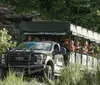 A group of tourists in a safari truck observe Highland cattle grazing in a lush green field