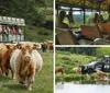 Scottish Highland Farm Tour Collage
