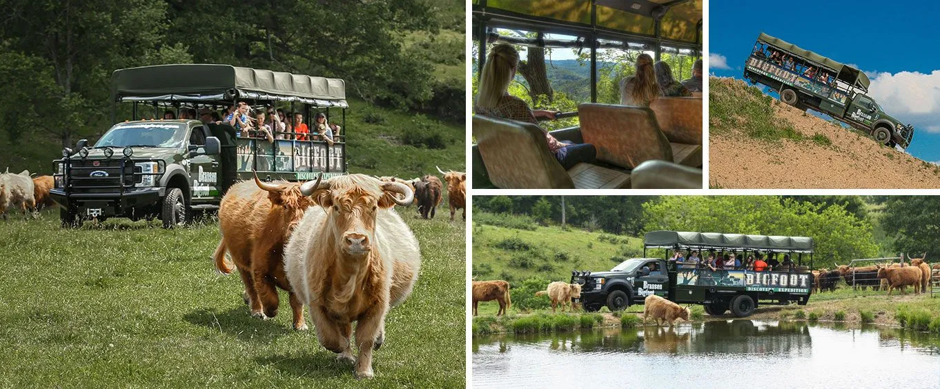 Scottish Highland Farm Tour