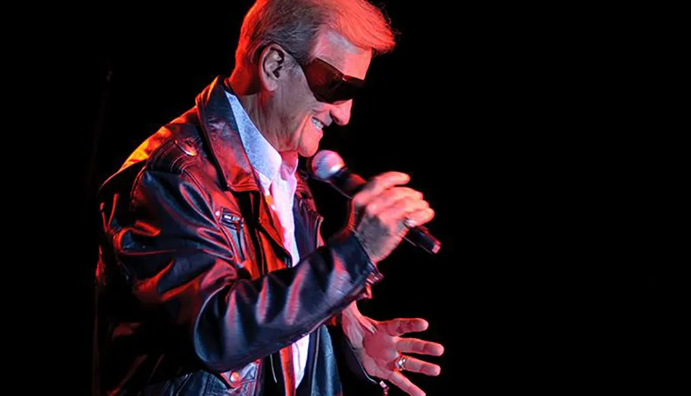 A person wearing sunglasses and a leather jacket is singing into a microphone on stage