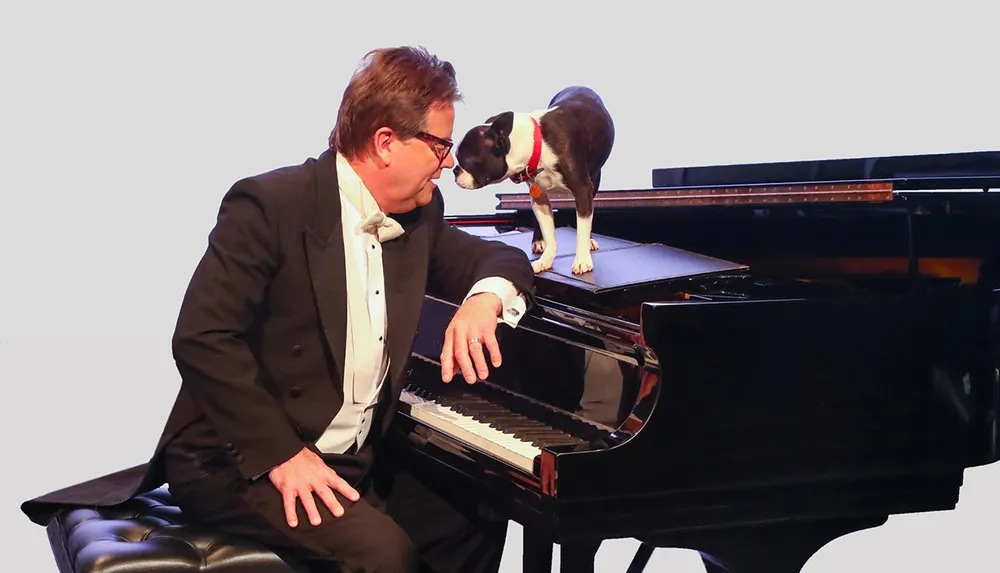 A man in formal attire sits at a grand piano while a small dog stands on top facing him