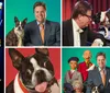 A man sits beside a piano with a dog three ventriloquist puppets a bird and a rabbit in a top hat