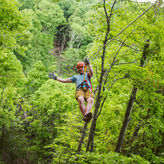Zipline Canopy Tours