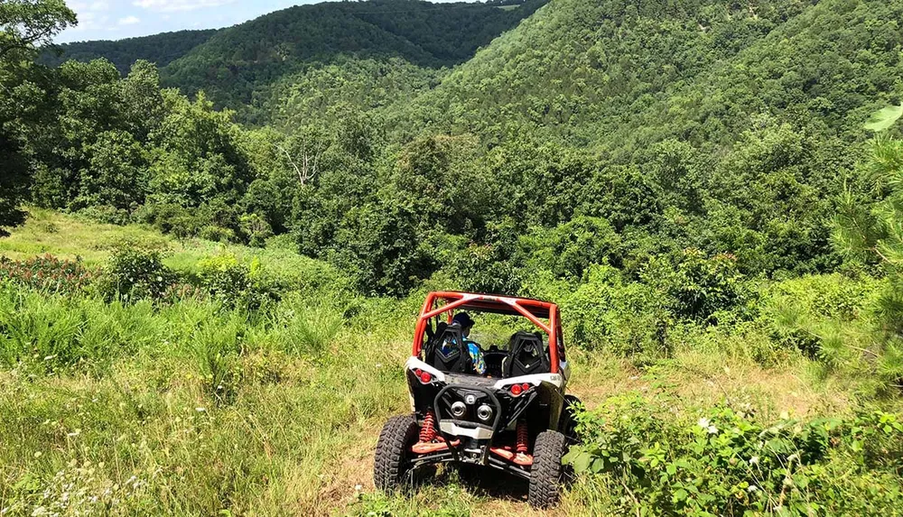 A red off-road vehicle is parked on a grassy hill overlooking a dense green forest under a blue sky